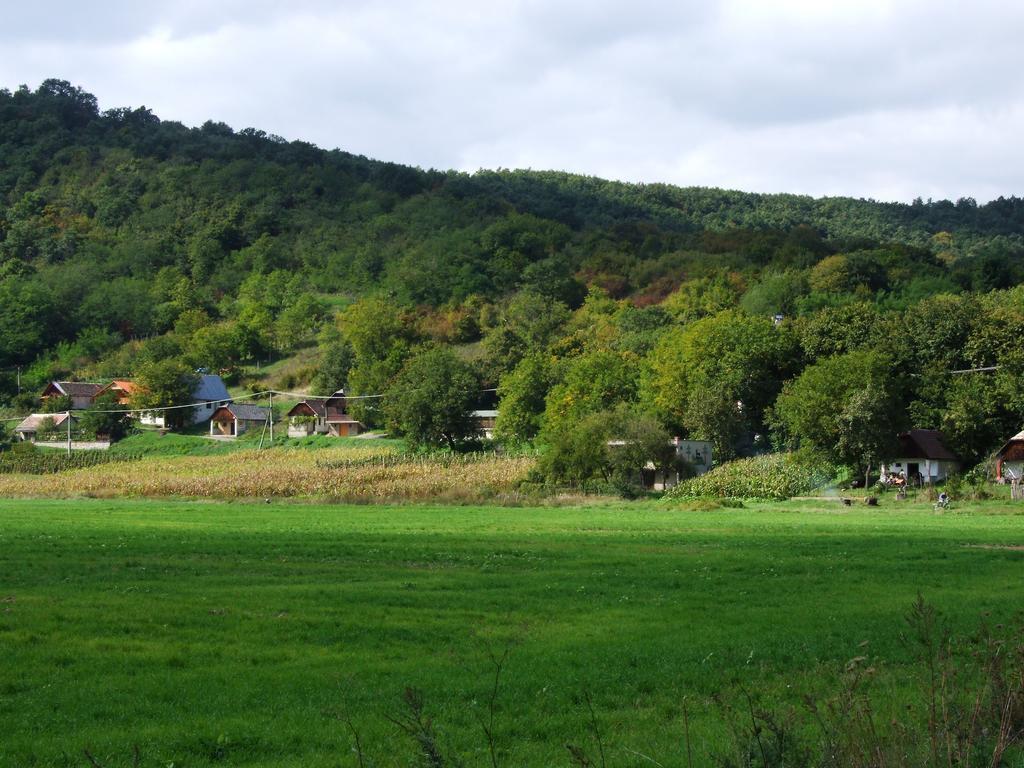 Penzion Julkin Dvor Krupina Exterior foto